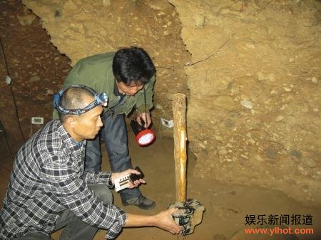 �Ĵ��������ؾ��������è ��Ǳˮ������